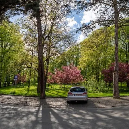 Apartament Bema 8 Apartamento *